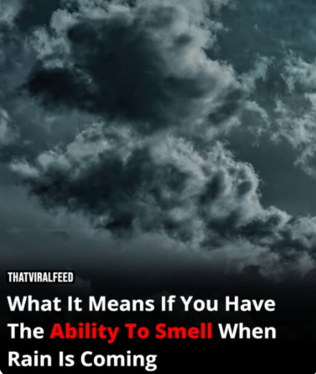 What It Means If You Have The Ability To Smell When Rain Is Coming!