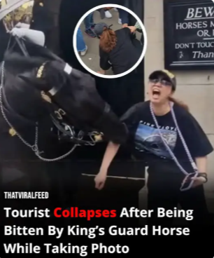 Tourist Faints After King’s Guard Horse Bites Her During A Photo!